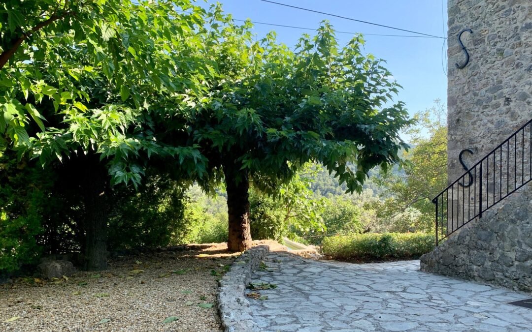 10- Maison Seillans - piscine et maison