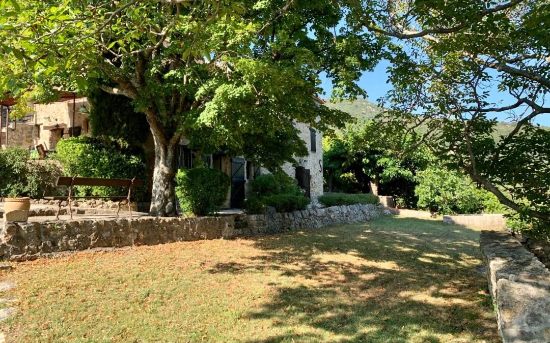 2- Maison Seillans - piscine et maison