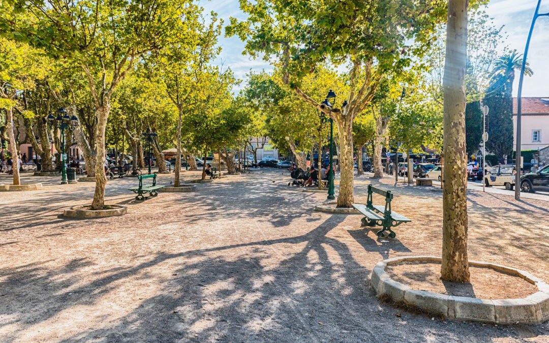 Appartement Place des Lices